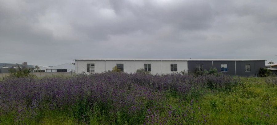  Bedroom Property for Sale in Moorreesburg Western Cape